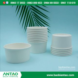 Tô giấy 500ml